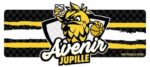 Royal Avenir de Jupille Basket Club