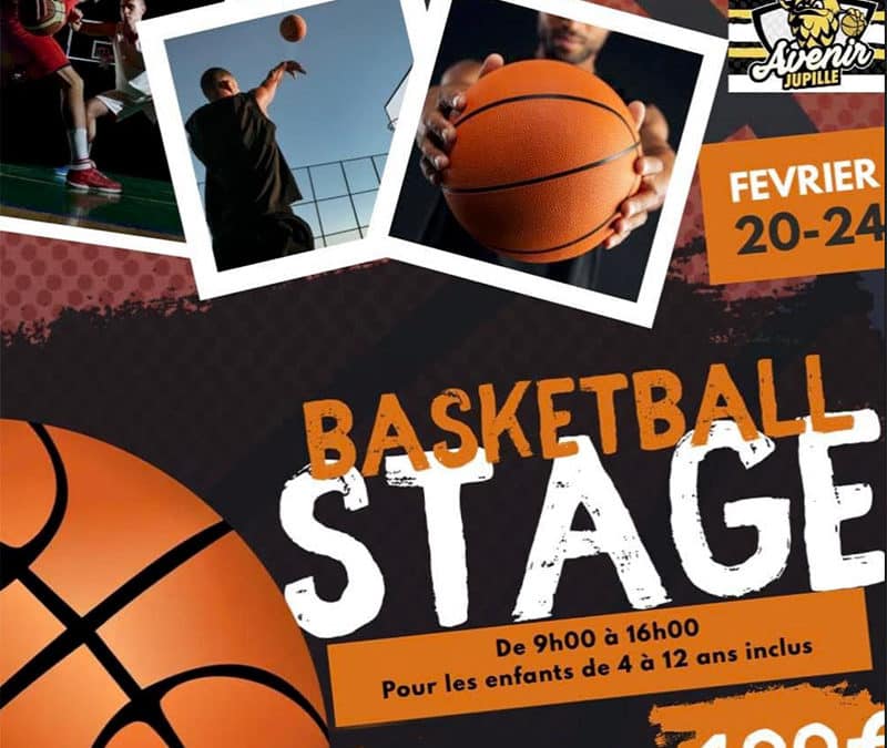 Stage de Basket-ball