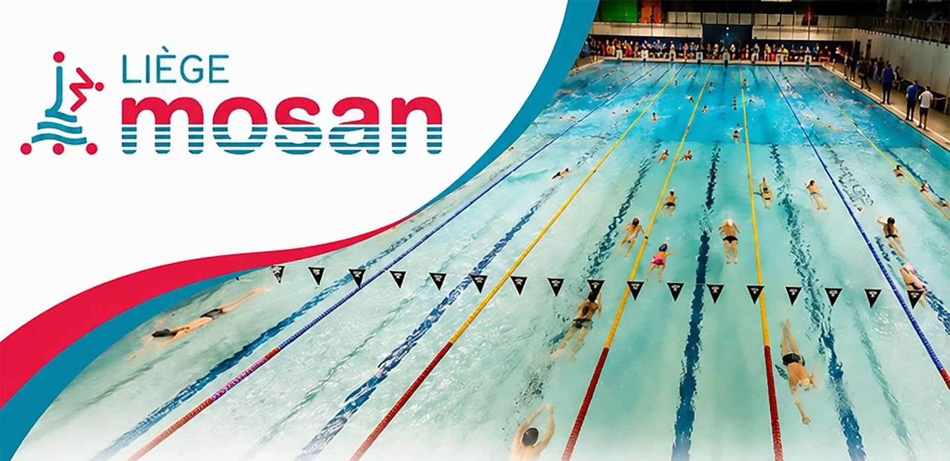 Offre d'emploi Liège Mosan