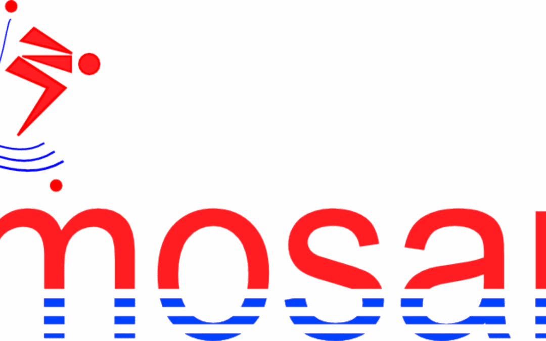 Liège Mosan