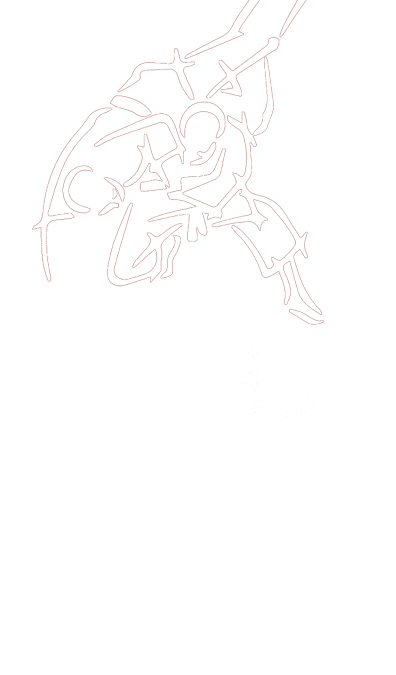 Fédération francophone belge de judo et disciplines associées